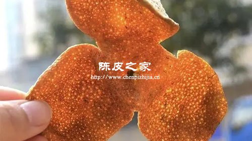 山楂陈皮荷叶决明子菊花茯苓人参冲泡比例