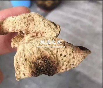 如何判断陈皮是否出现不良现象