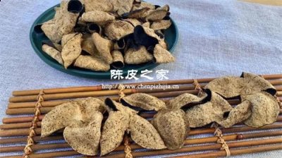 橘子皮可以当做陈皮使用吗
