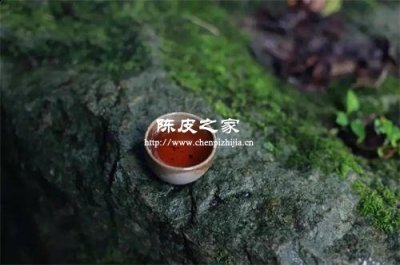 普洱茶的古树茶和地台茶有什么区别