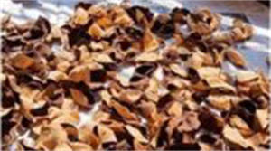 过度翻晒会对陈皮造成哪些伤害