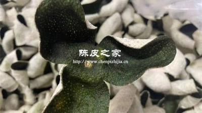 陈皮是用哪种橘子皮的皮制作的