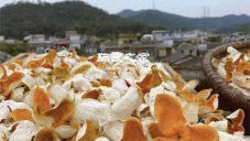 不用打理陈皮的方法