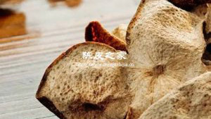 调料陈皮和中药陈皮一样吗