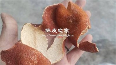 真正的陈皮是什么样的