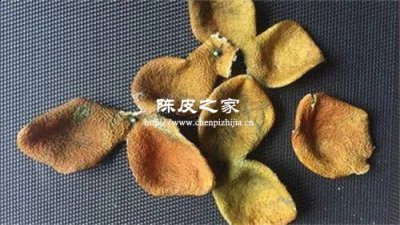 做陈皮蒸还是不蒸