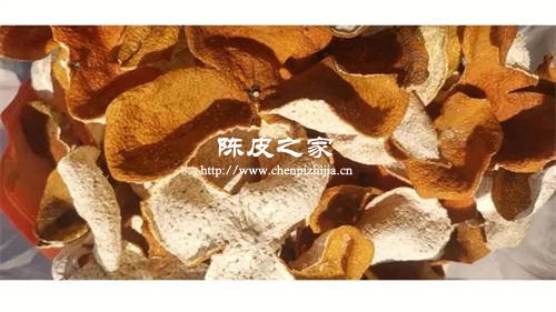 晾晒好的陈皮