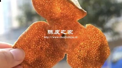 自己晒三年的桔子皮是陈皮吗