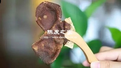 自己晒的橘子皮可以当陈皮用吗