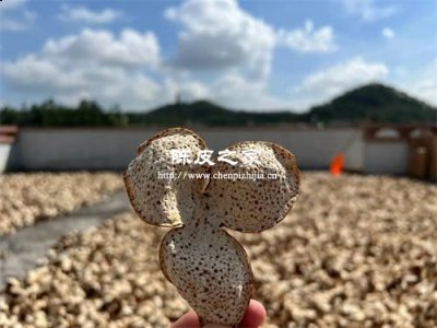 陈皮一般一年复晒多久好