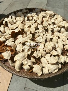 陈皮是不是每年都要晒一晒