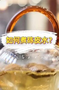 陈皮是开水煮还是冷水煮啊