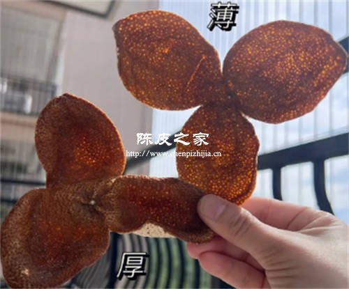 陈皮是皮薄的好还是皮厚的好