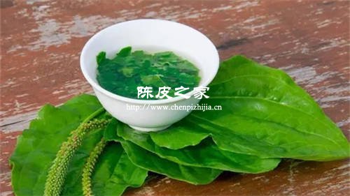 车前草与陈皮一起的功效与作用