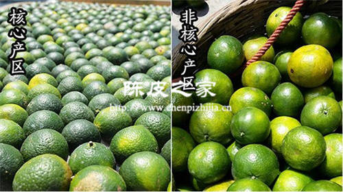 新会陈皮上有黑点是不是霉了