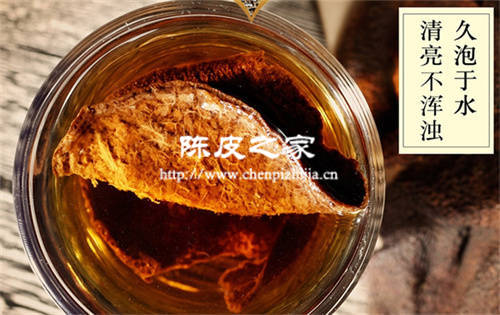 新会陈皮在哪买比较好