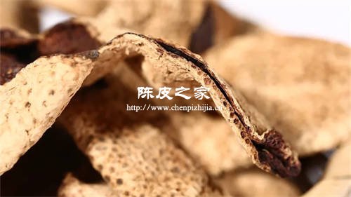 新会陈皮油胞特写