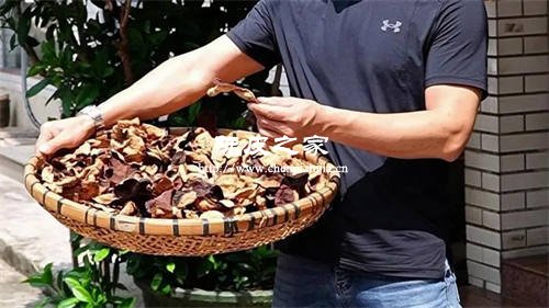 陈皮翻晒什么时间好？陈皮翻晒技巧全解析