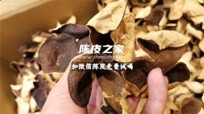 什么水果做的陈皮是最好的