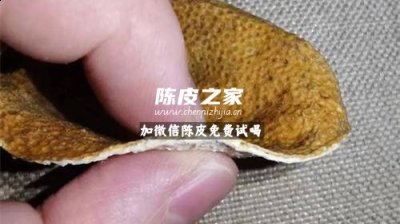 新会陈皮大的好还是小的好