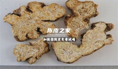 苍术能和陈皮一起做香料吗