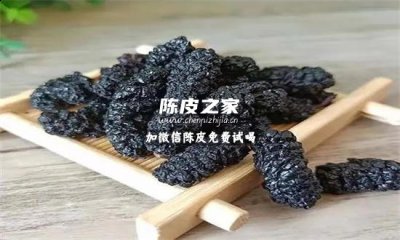桑葚能和陈皮一起泡水喝吗？一文详细告诉你