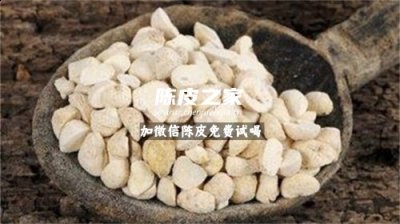 陈皮和半夏能一起泡水喝吗