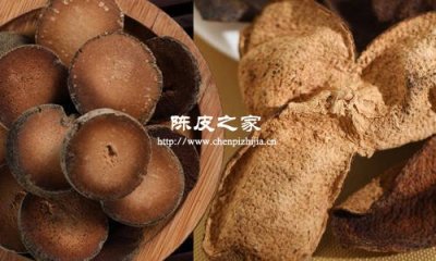 新会陈皮和化橘红有什么区别吗