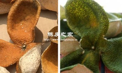 中药青皮和陈皮还有红皮有什么区别