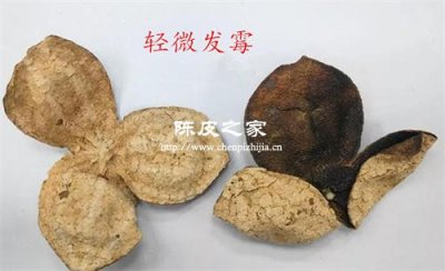 陈皮有股臭腥味是怎么回事