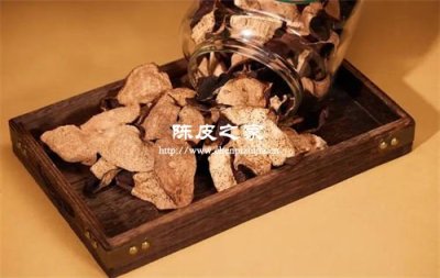 陈皮和金银花泡水喝的适应人群