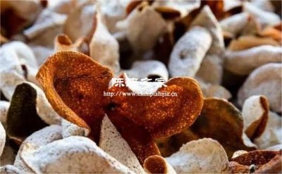 陈皮加生姜和红糖治咳嗽吗