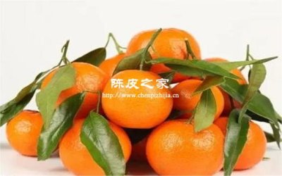 橘子皮怎么做陈皮？步骤是什么？