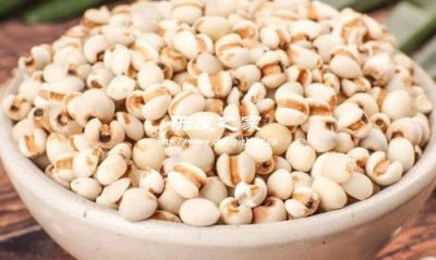 陈皮山楂薏米的功效与作用