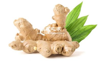 陈皮山楂老姜泡水喝的功效