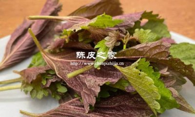 陈皮紫苏生姜水的功效与作用