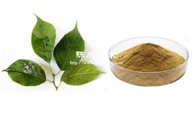 杜仲叶枸杞陈皮功效及用途