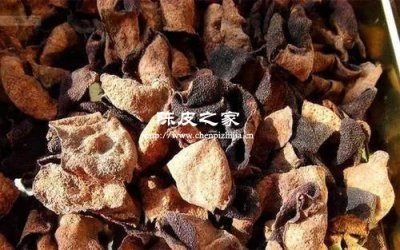 北方干燥环境会杀死陈皮活性吗？