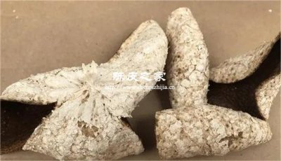 内囊脱落=年份足？陈皮的视觉陷阱