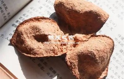 东甲陈皮和天马陈皮作用一样吗