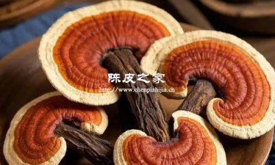 灵芝陈皮一起用的功效与作用及禁忌