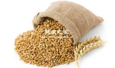 麦芽山楂陈皮的功效与作用