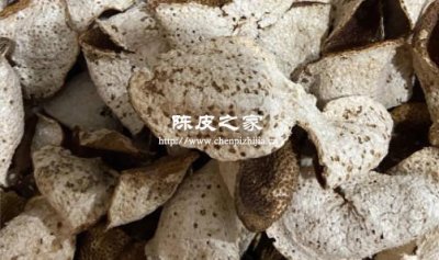 新会陈皮有虫眼和蜘蛛网还能吃吗