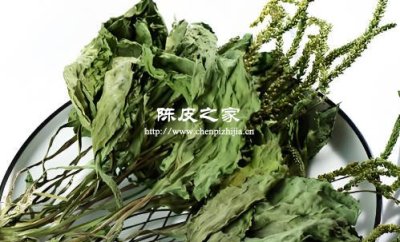 车前草陈皮煮水喝有什么功效