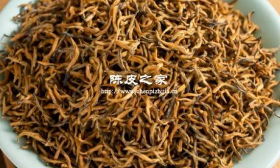 煮陈皮水能泡金俊眉茶吗