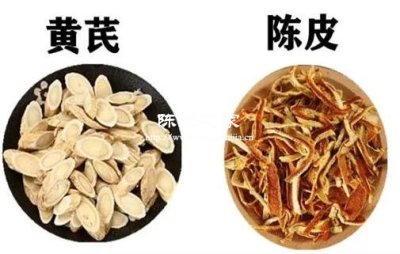 黄芪和陈皮泡水一次放多少