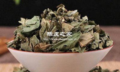 陈皮桑叶鱼腥草三者泡水有什么功效