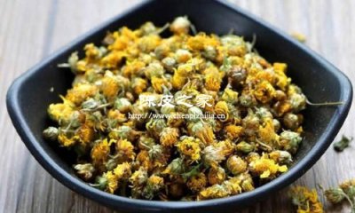 陈皮菊花冰糖泡水喝的功效