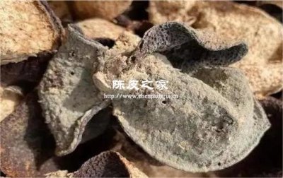 霉变的陈皮泡水喝有什么味道