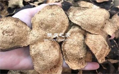 陈皮和金银花泡水小孩能喝吗